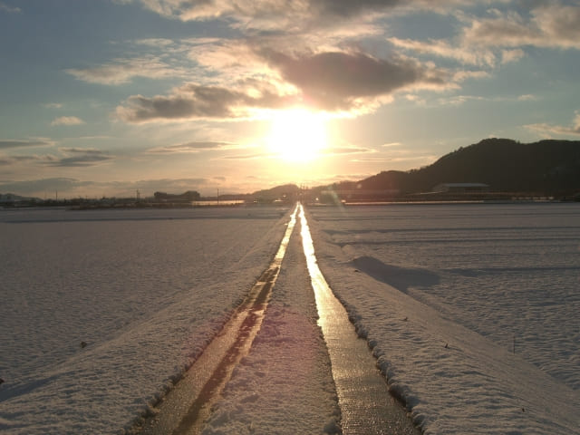 太陽と道